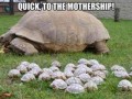 Mothership