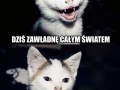 Chociaż może