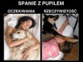 Spanie z pupilem