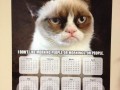 Grumpy cat kalendarz