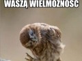 Witam wielmożność