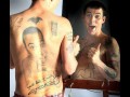 Steveo