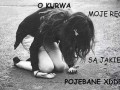 Tęga rozkmina