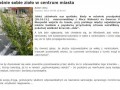 Fajny ten włocławek