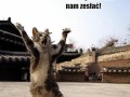O wszechmocny