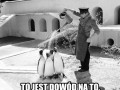To jest dowód