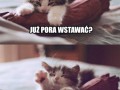 Jeszcze 5 minut
