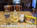 Picie alkoholu