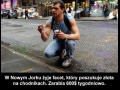 Poszukiwacz złota z nowego jorku