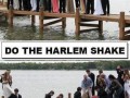 Harlem shake