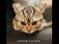 Pussy head