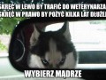 Skręć w lewo