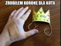Nie ma za co koteł