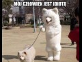 Mój człowiek