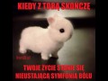 Kiedy z tobą skończę