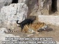Książki motywacyjne