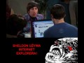 Sheldon w necie