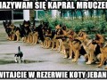 Kapral mruczek