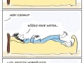 Wina łóżka