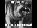 Spokojnie 