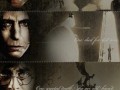 Voldemort snape harry