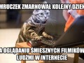 W alternatywnym wszechświecie