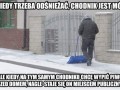Polski absurd