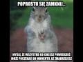 Wszystko co chcesz powiedzieć może poczekać