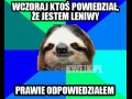 Nie jestem leniwy