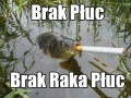 Brak płuc brak raka płuc