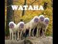 Wataha