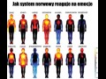 Tak ciało odczuwa emocje