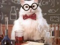 Chemik nie umiera