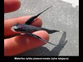 Latająca ryba