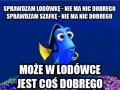 Doskonała pamięć