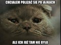 Biedny koteu