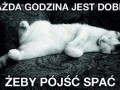 Każda godzina