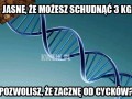 Ogromne dzięki