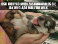 Zastanawiałeś się kiedyś