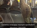 Gdy wracałem nocnym