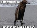 Idę