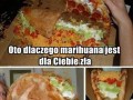 To dlaczego