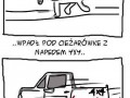 Historia o kotku