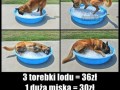 Tyle szczęścia