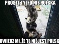 Smutna panda