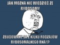 Biologia