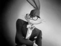 Bugs