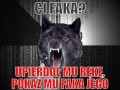 Ktoś ci pokazał 