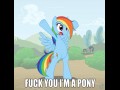 Rainbow dash