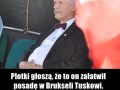Plotka głosi